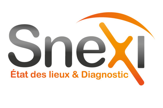 logo snexi